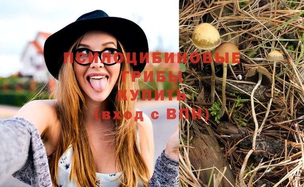 марки nbome Аркадак