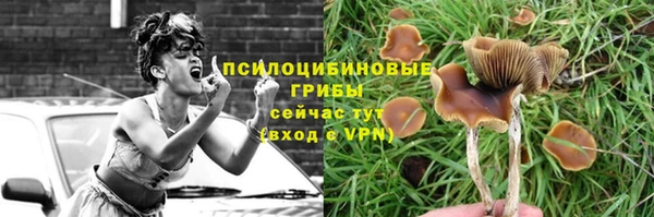 а пвп мука Надым