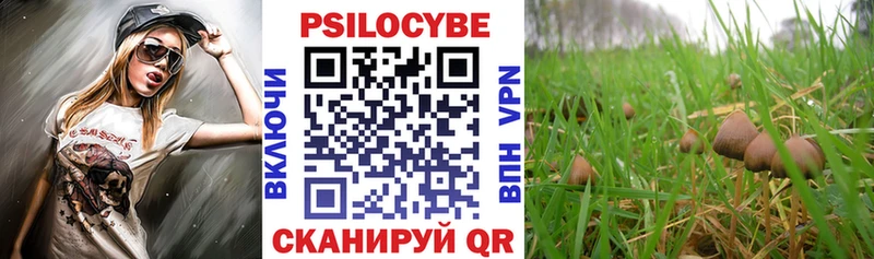 купить сайты Красный Сулин Псилоцибиновые грибы мухоморы