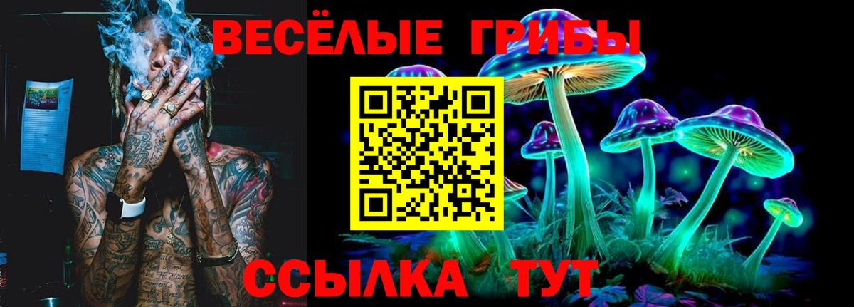Красный Сулин  Галлюциногенные грибы Cubensis  Вход с VPN 