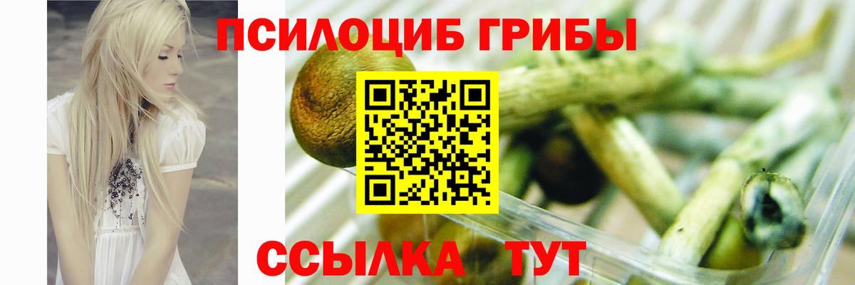 Галлюциногенные грибы Красный Сулин