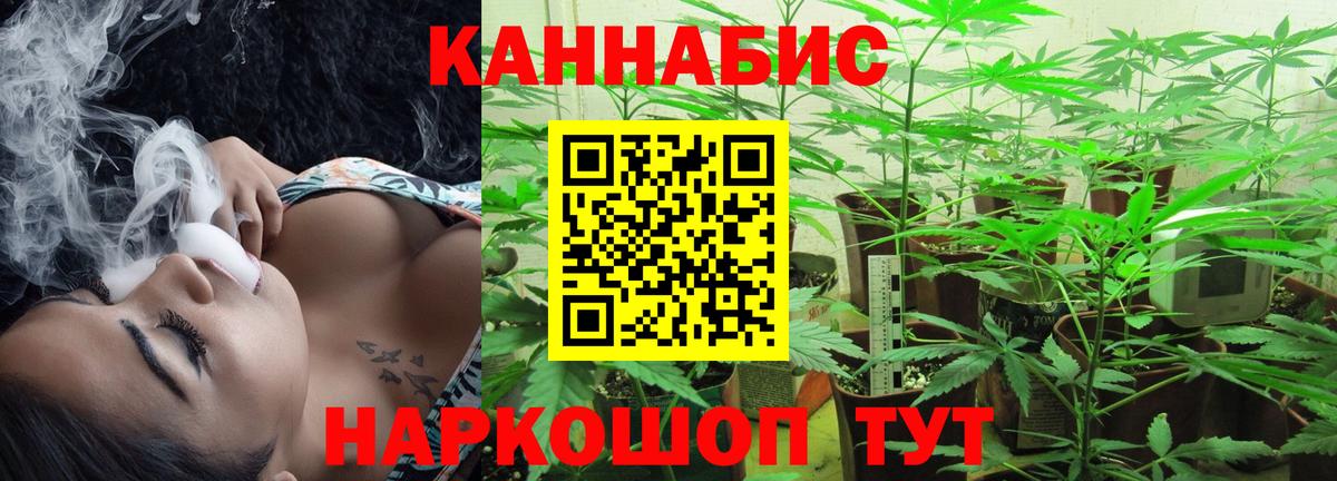 Конопля Bruce Banner Красный Сулин
